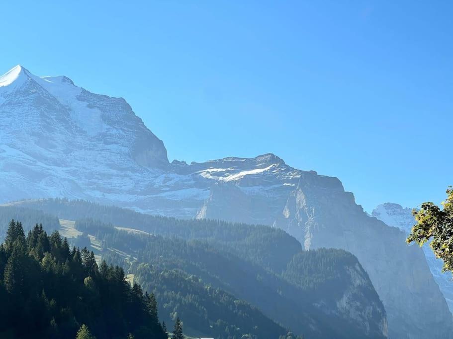 Wengen Apartment - Amazing Views, Centrally Located By Train Station Exterior foto