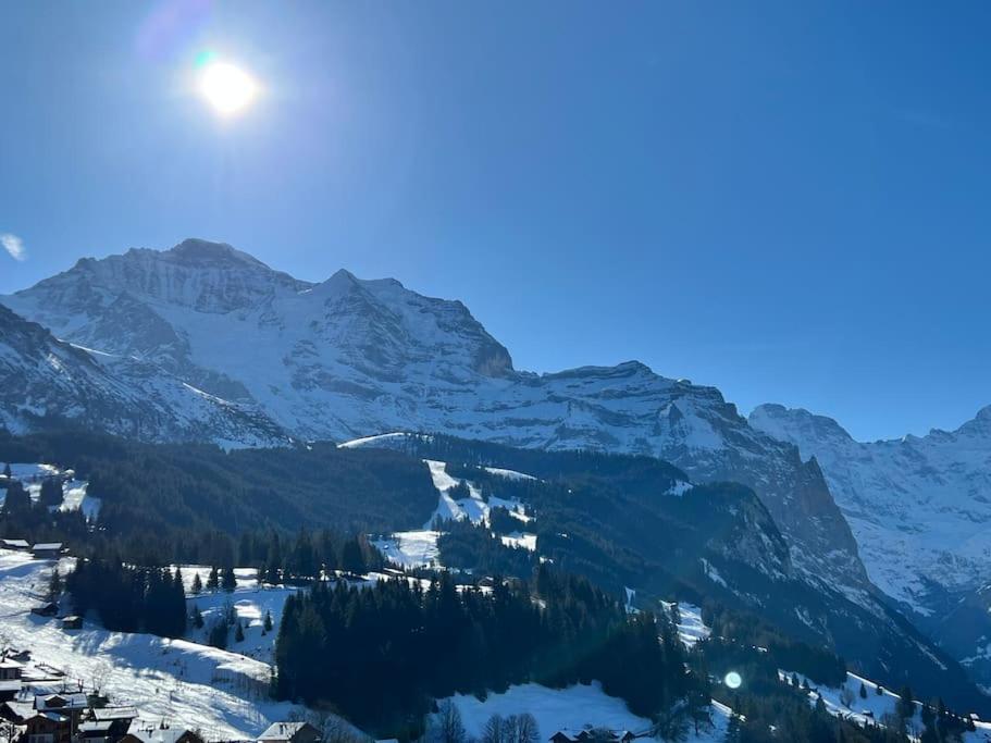 Wengen Apartment - Amazing Views, Centrally Located By Train Station Exterior foto