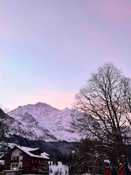 Wengen Apartment - Amazing Views, Centrally Located By Train Station Exterior foto