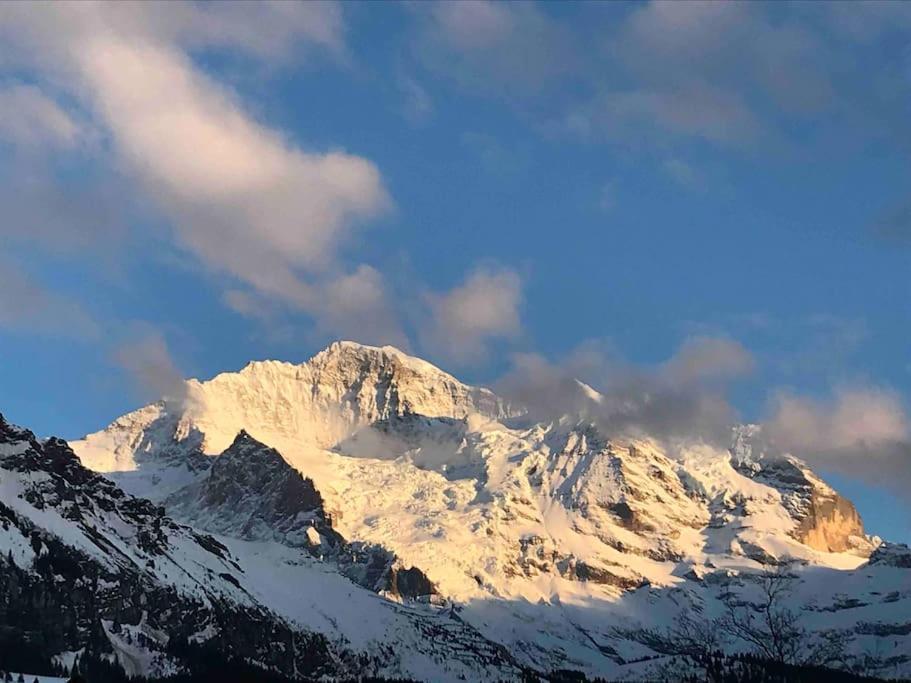 Wengen Apartment - Amazing Views, Centrally Located By Train Station Exterior foto